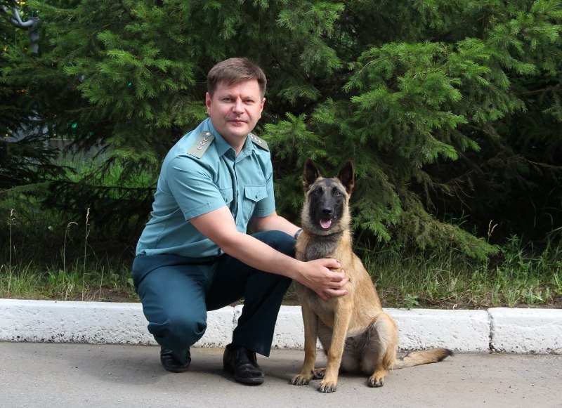 Малинуа злая