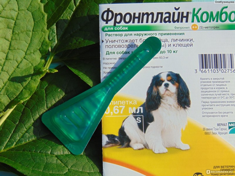 Декта форте ушные капли для кошек и собак