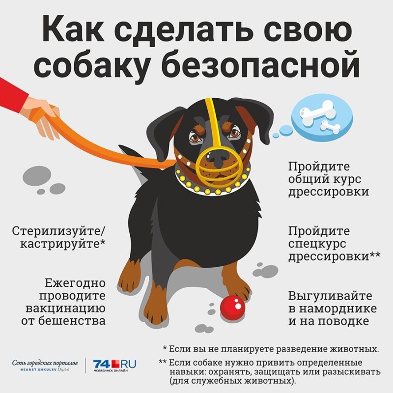 Памятка для владельцев собак