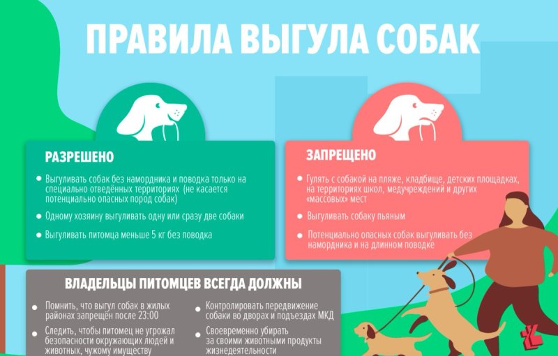 Закон о выгуле собак