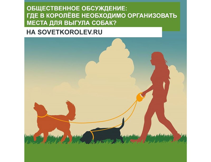 Выгул собак смешные картинки