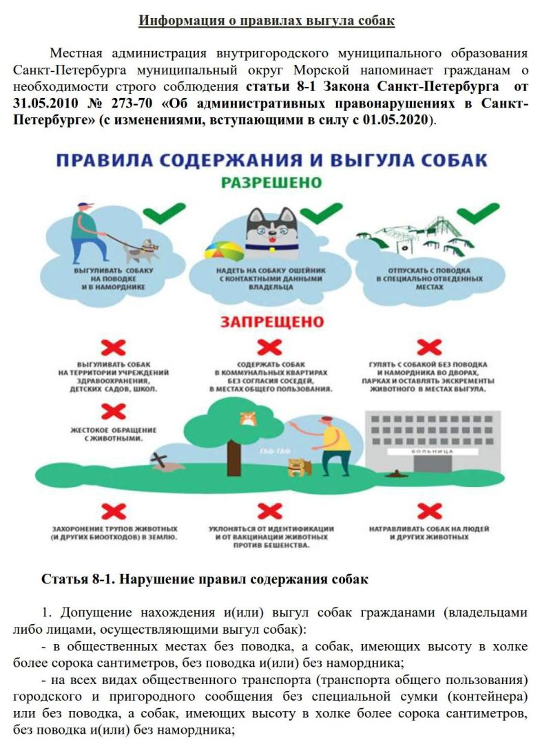 Правила содержания собак