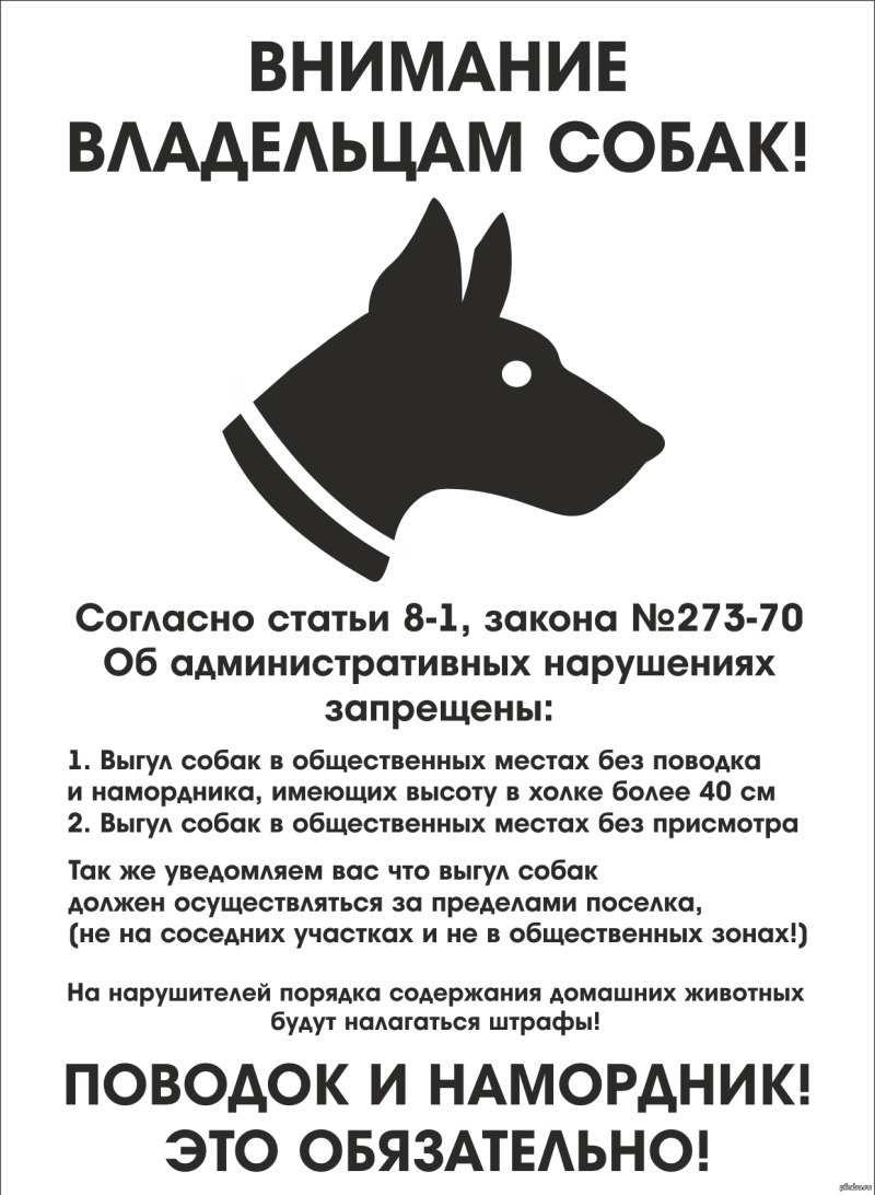 Закон о выгуле собак