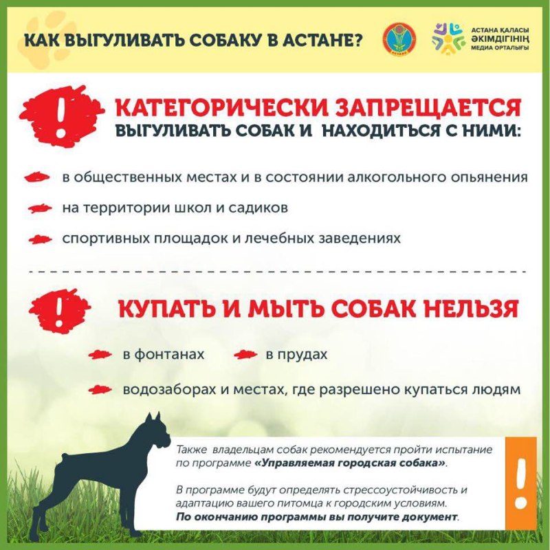 Закон о выгуле собак