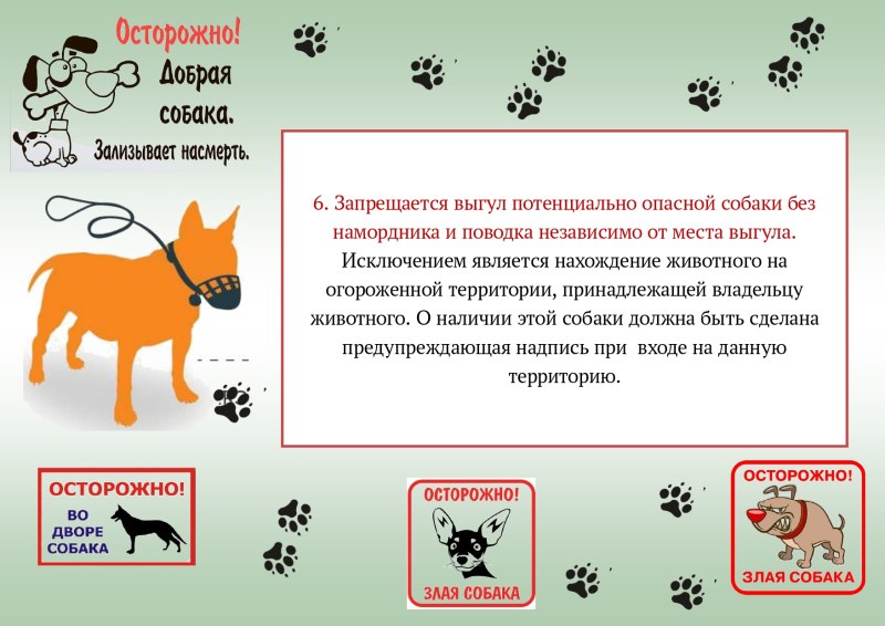 Плакат убирайте за собаками