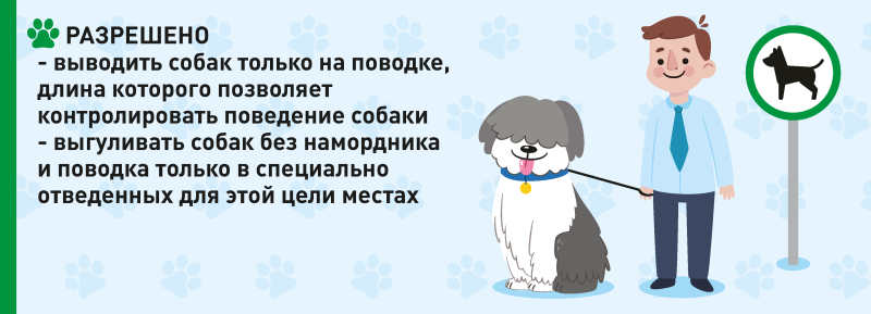 Закон о выгуле собак