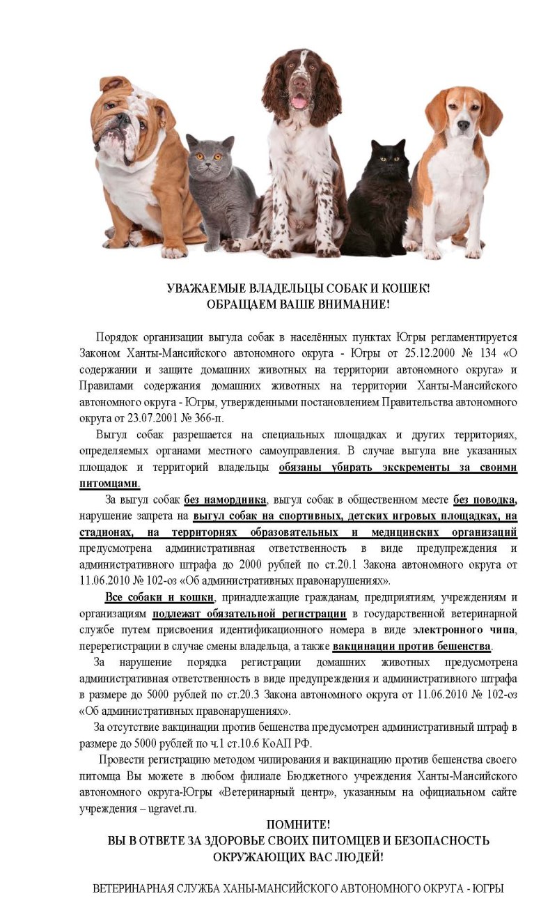 Табличка убирать за собакой
