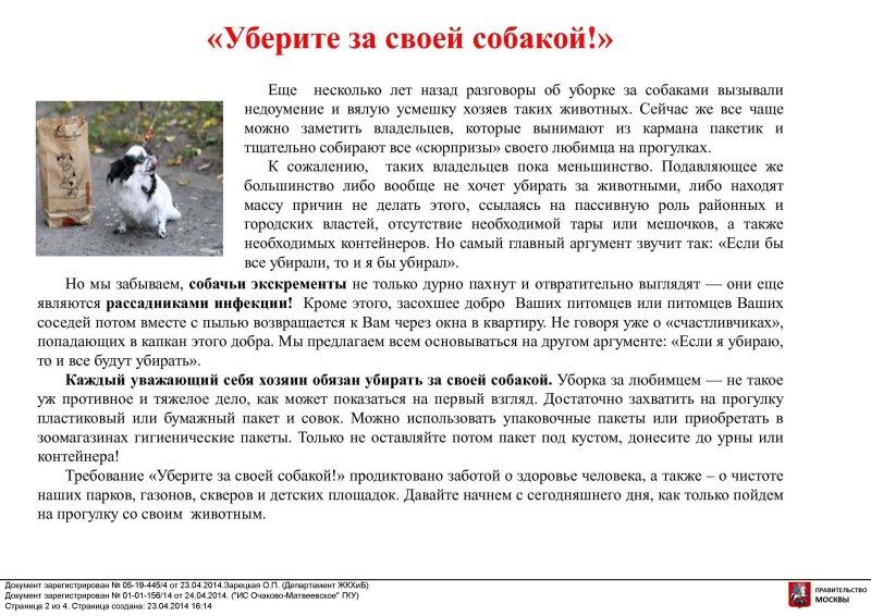 Обращение к владельцам собак