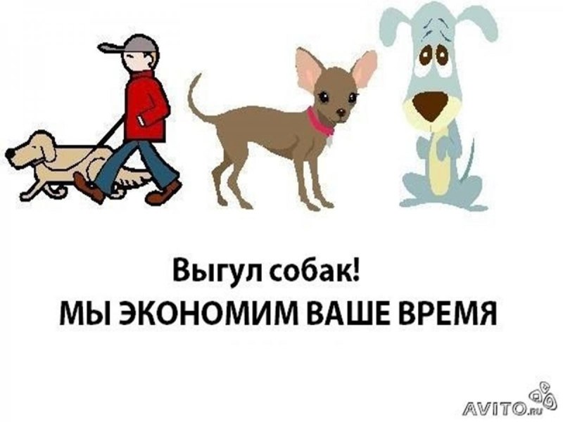 Табличка гулять с собаками запрещено