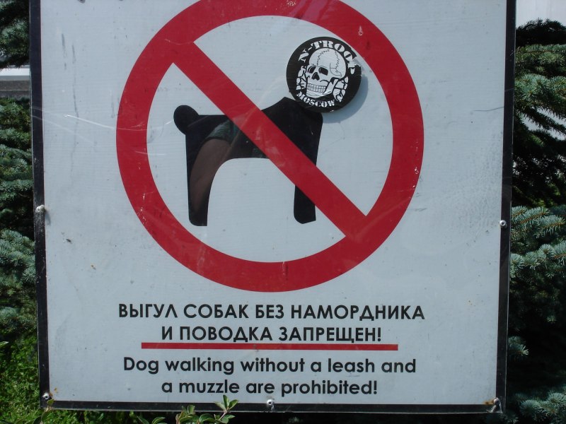 Выгул кошек запрещен