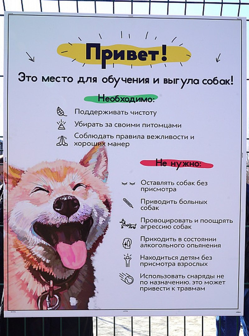 Выгул собак разрешен