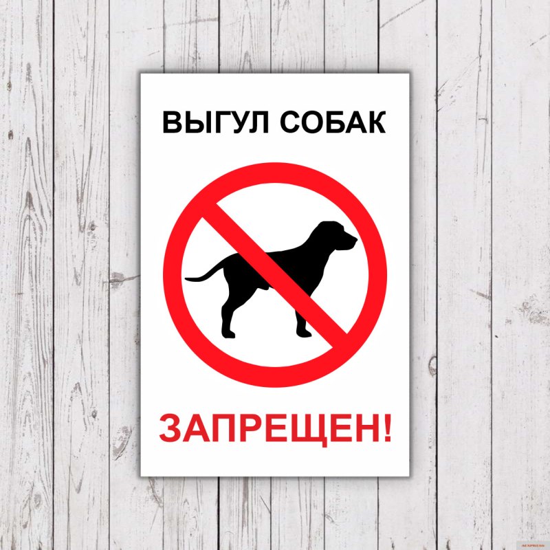 Выгул много собак