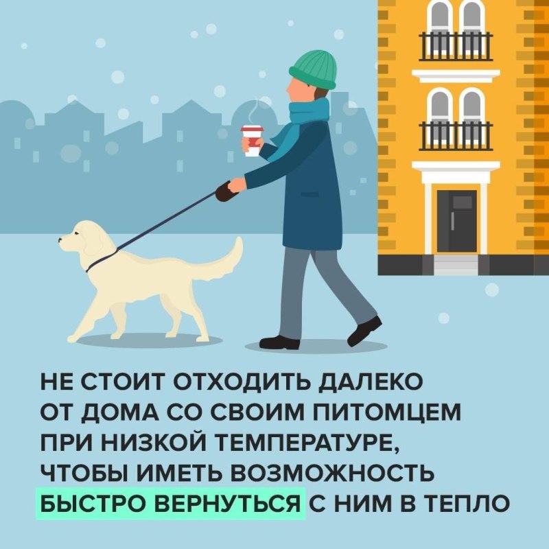 Выгул собак лого
