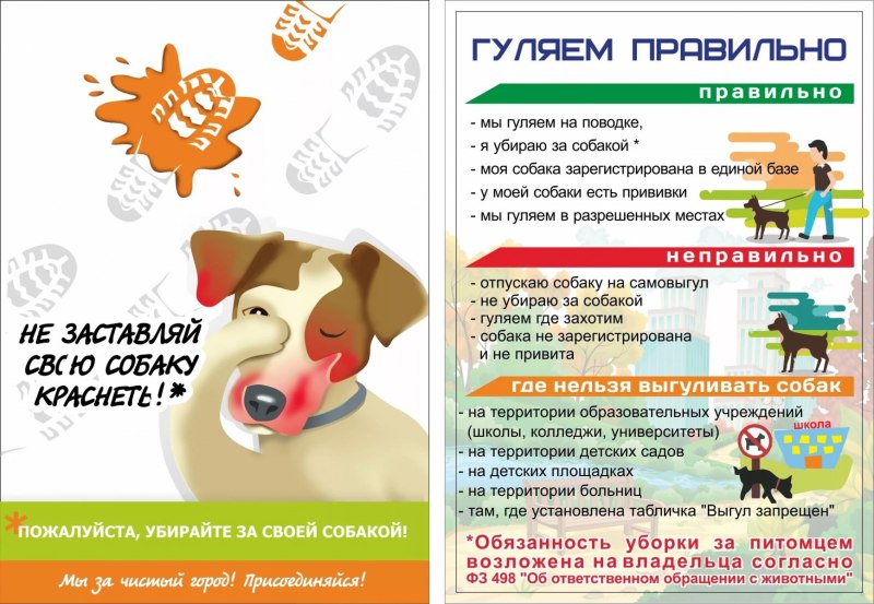 Памятка для владельцев животных