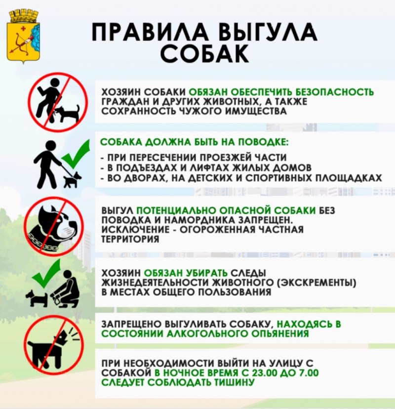 Правила выгула собак
