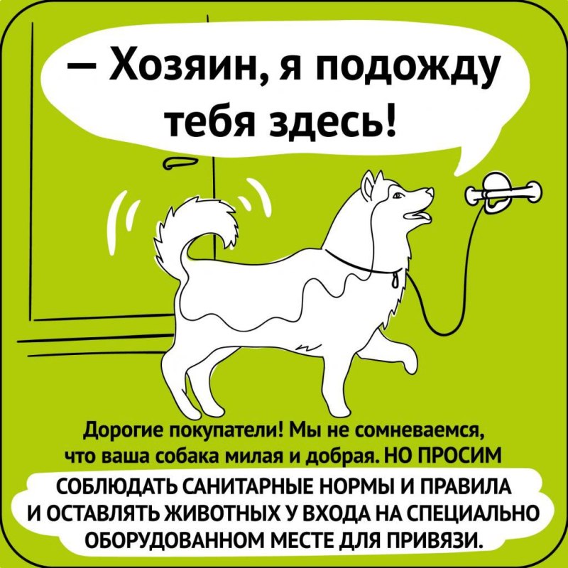 Выгул собак