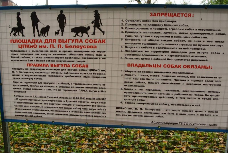 Правила выгула собак