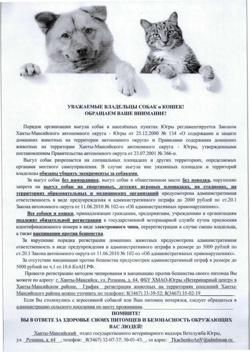 Содержание домашних животных