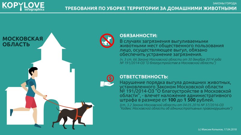 Нормы содержания домашних животных
