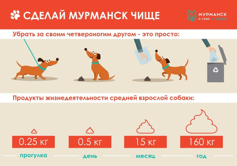 Как убрать за своей собакой