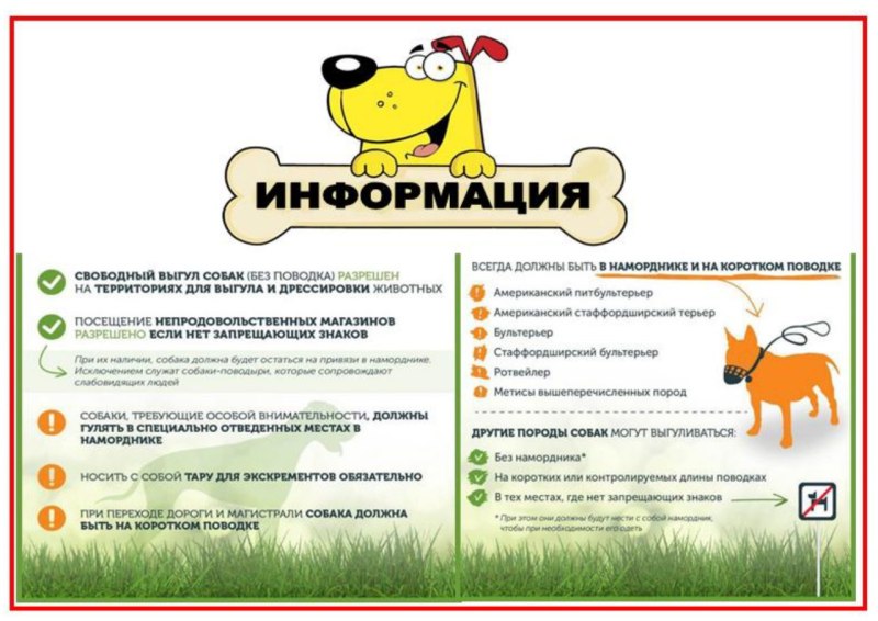Объявления по выгулу собак