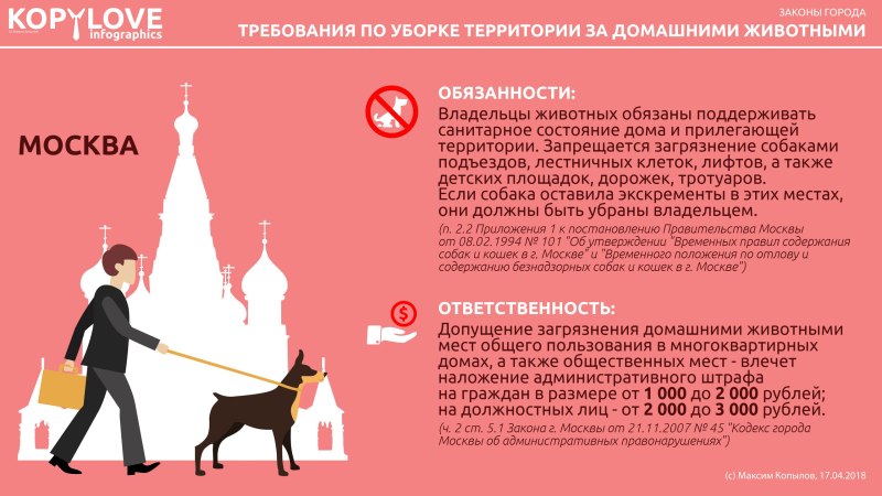 Правила выгула домашних питомцев