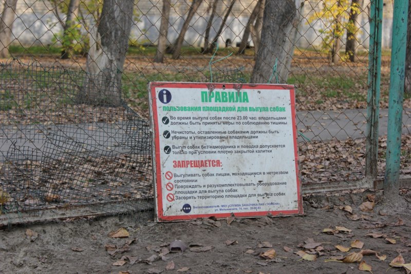 Памятка прививка от бешенства