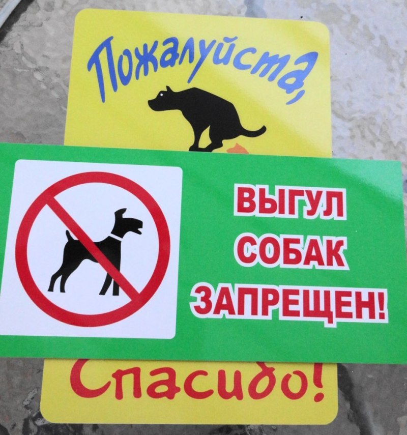 Объявление о запрете выгула собак