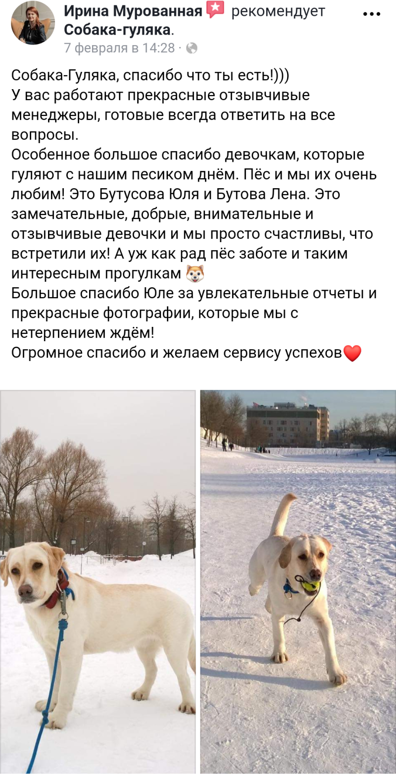 Выгул собак запрещен