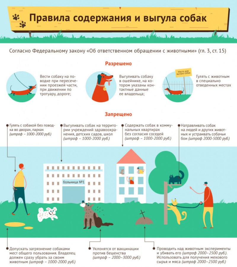 Правила содержания собак