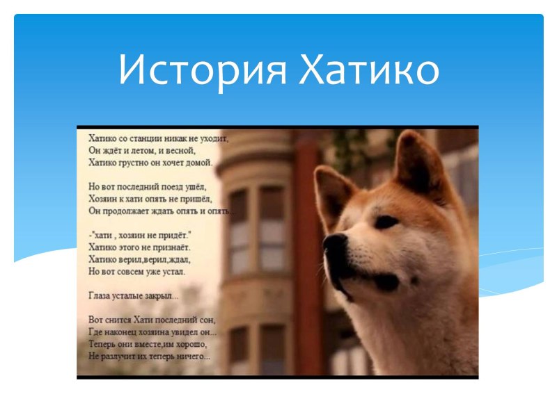 История Хатико