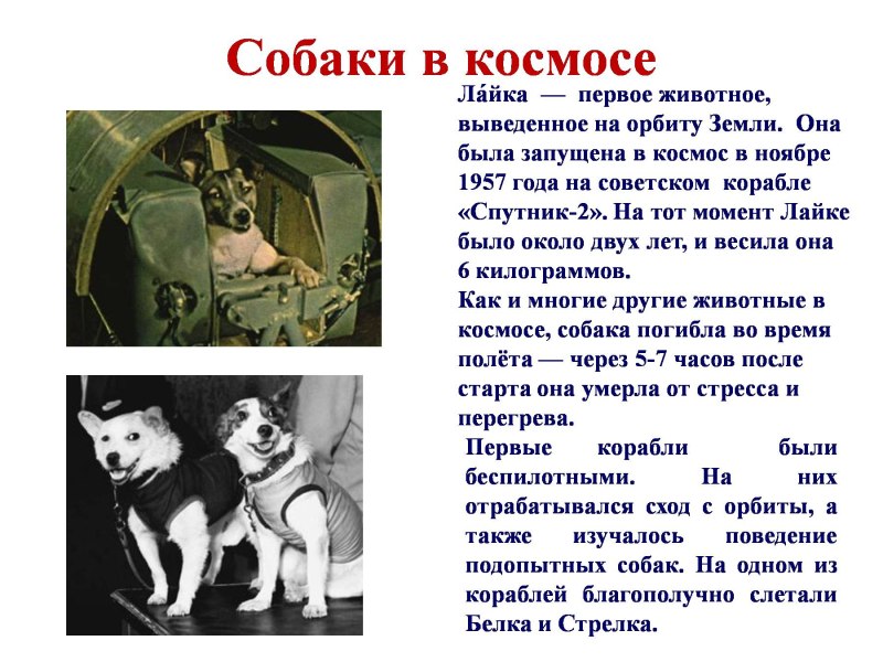 Первые мобакив космосе
