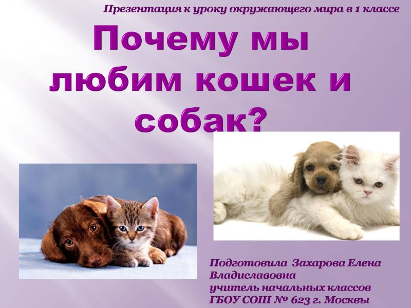 Презентация на тему любимый питомец