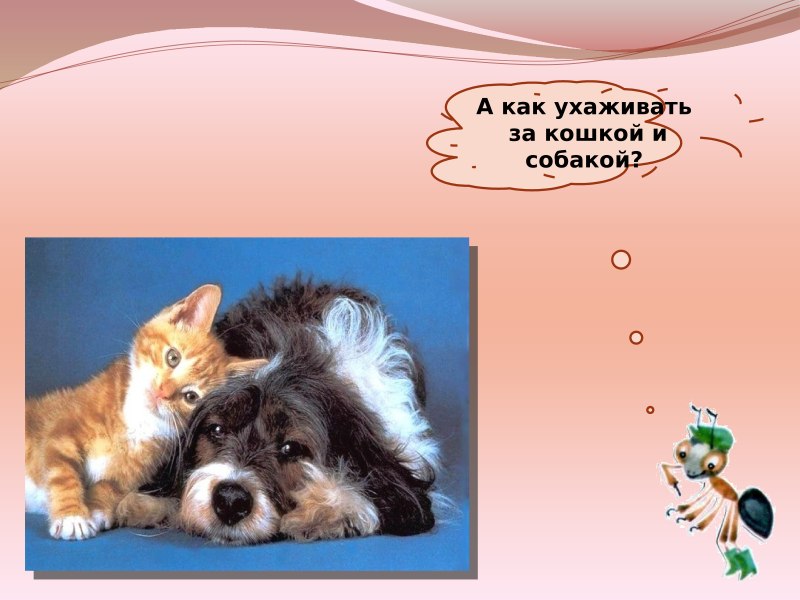 Презентация на тему кошки и собаки