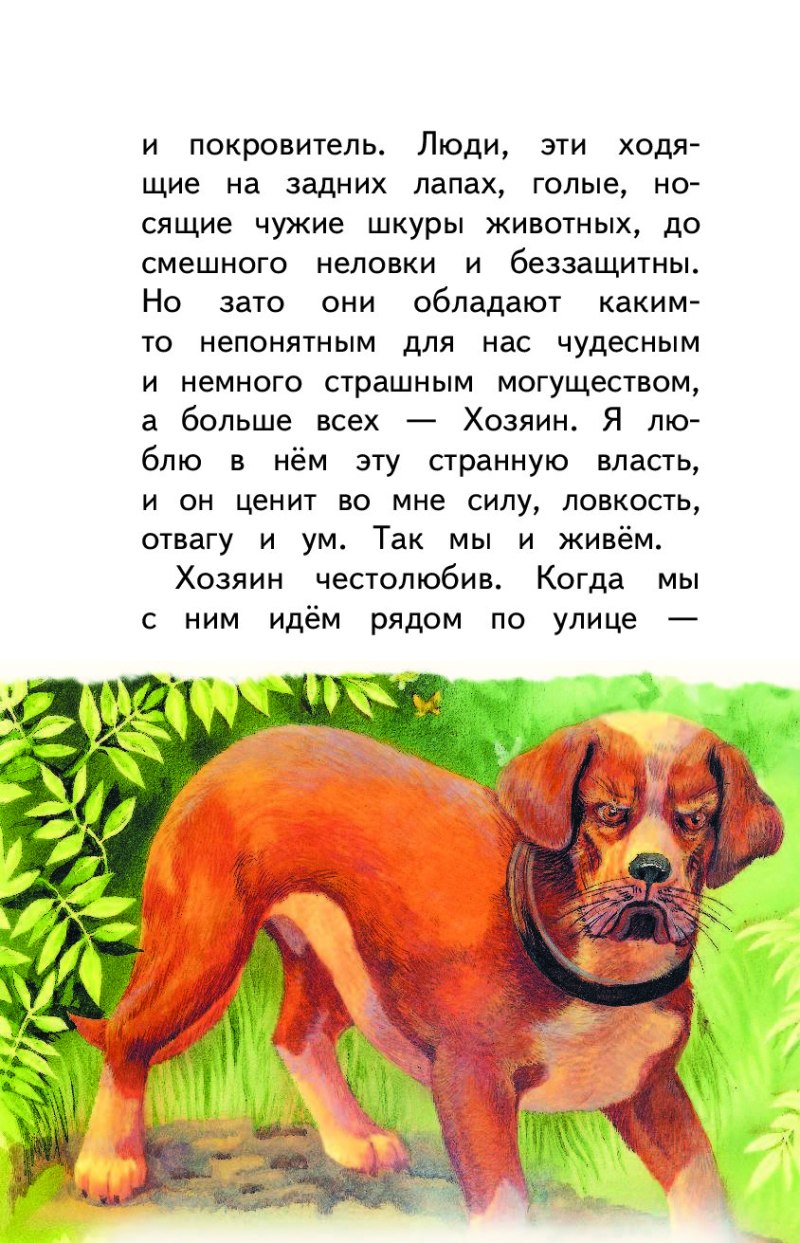 Короткий рассказ про собаку