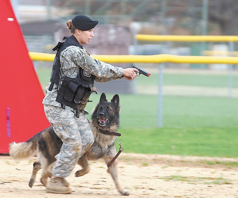 Шлейка Police k9