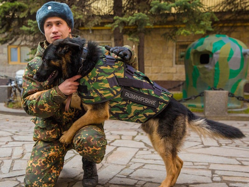 Военный со служебной собакой