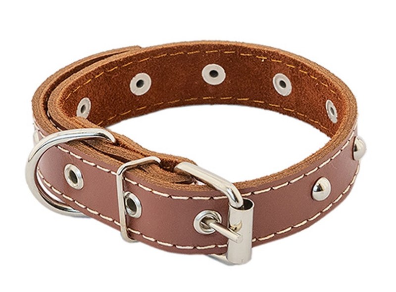 Ошейник Waifs & Strays Classic с проточиной m, 47 см 30-36 см