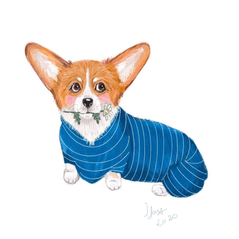 Корги Коржик канал