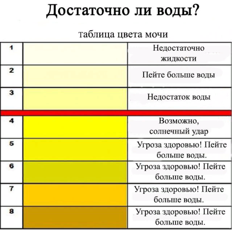 Цвет мочи