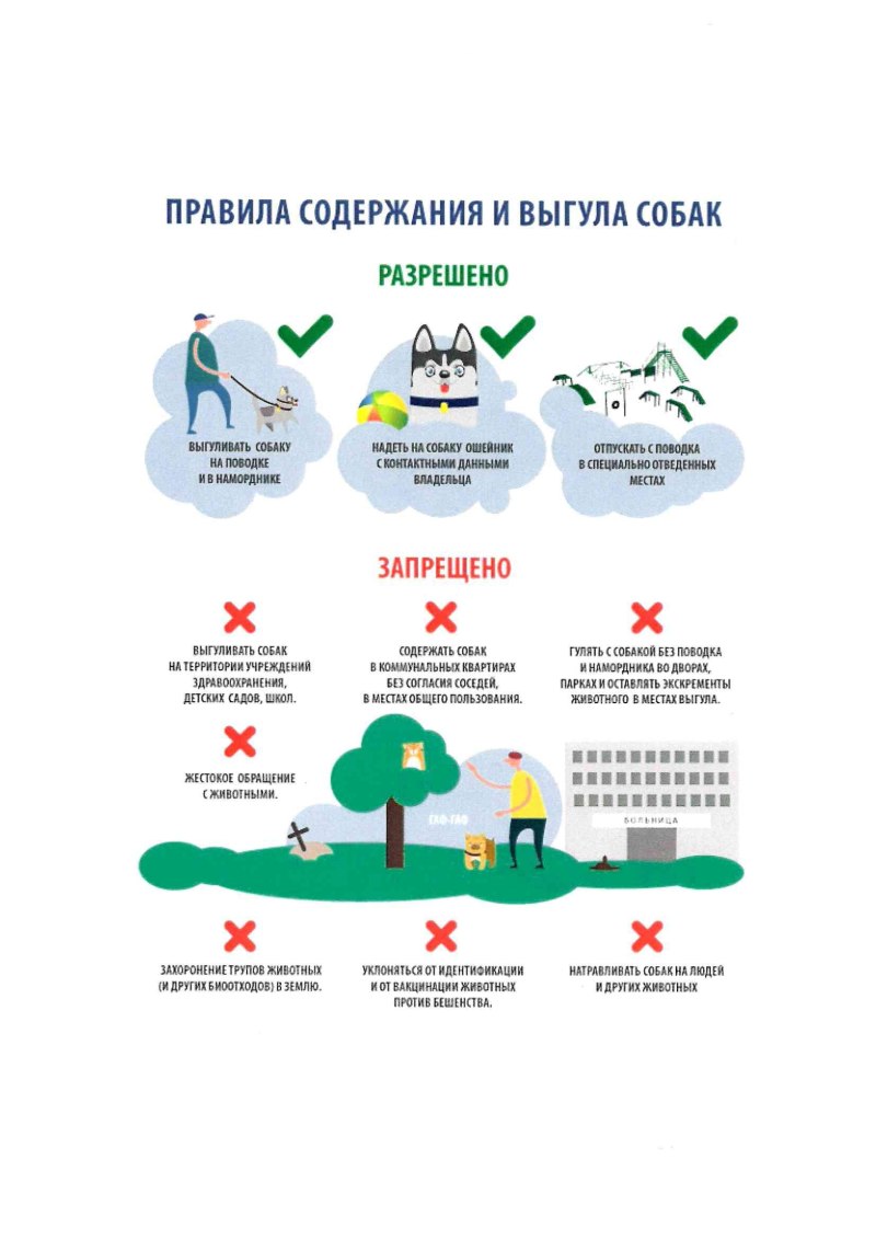 Правила выгула собак