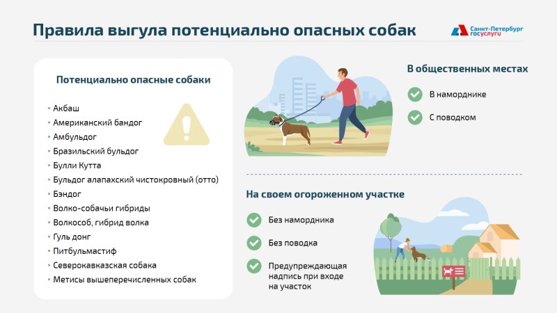 Правила выгула собак