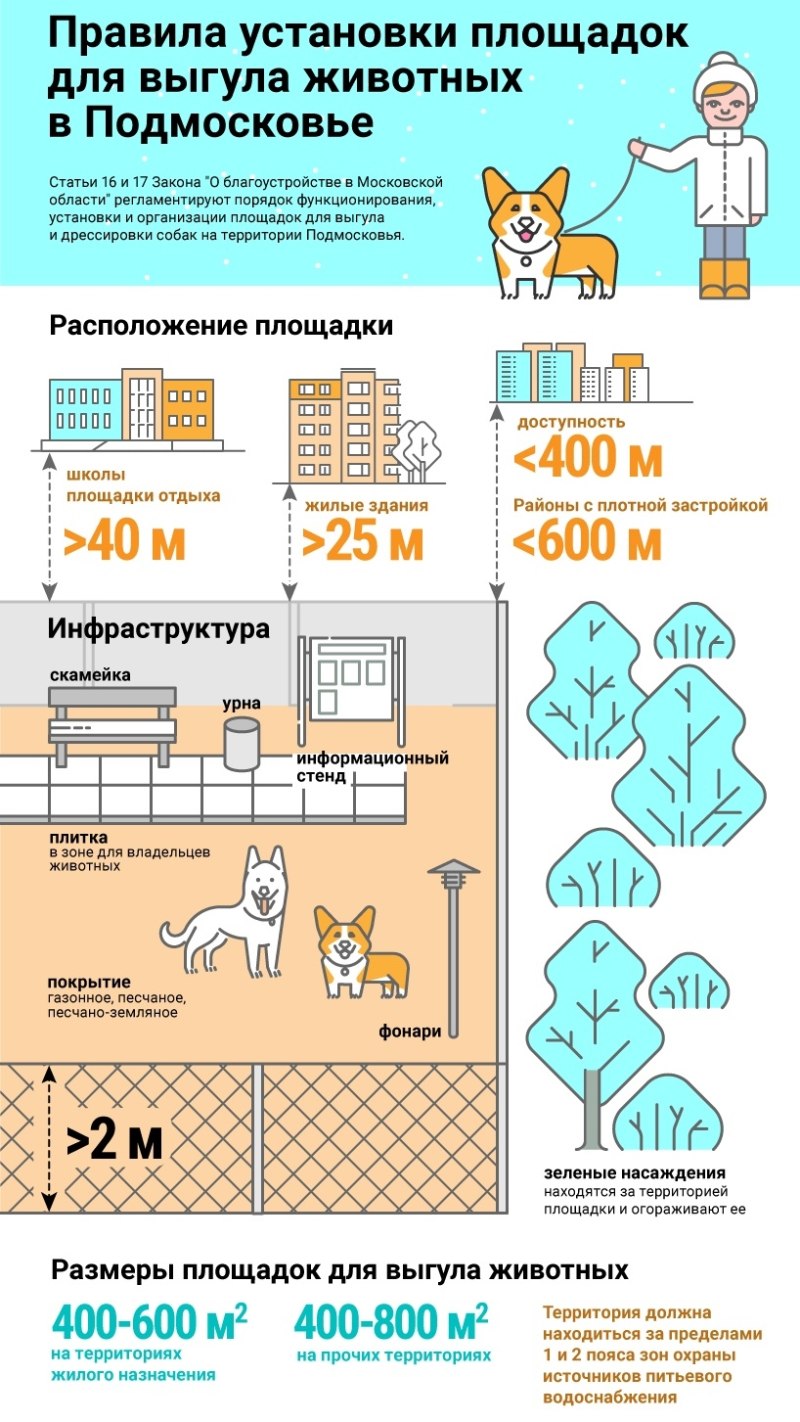 Выгул собак инфографика