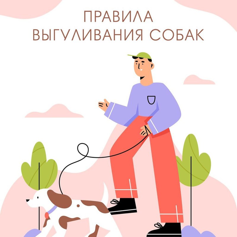 За выгул собак