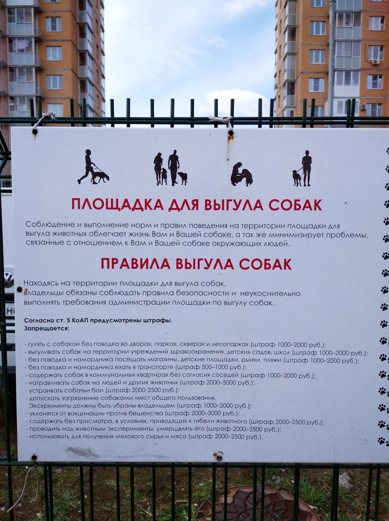 Выгул собак закон 498