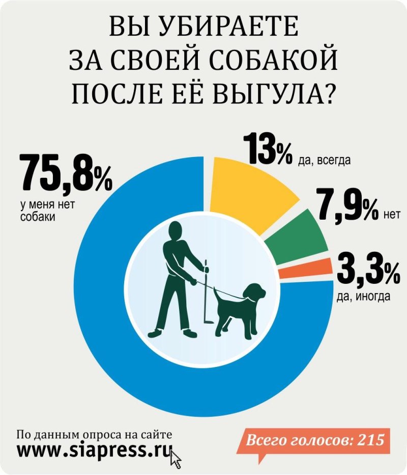 Место для выгула собак