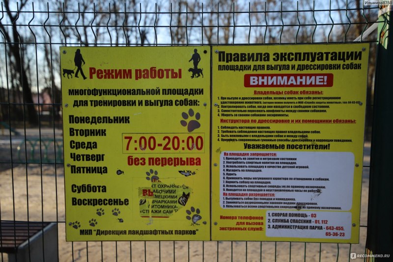 Место для выгула собак