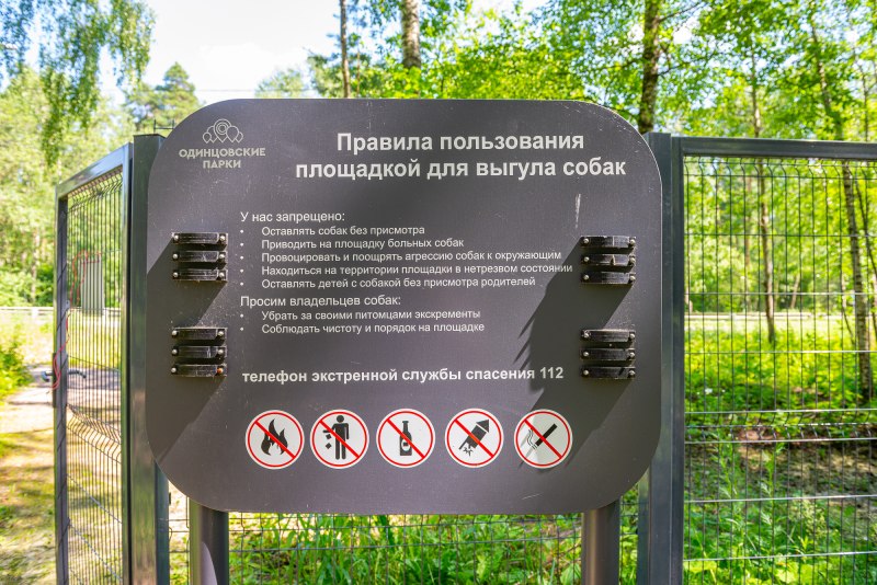 Выгул собак без намордника