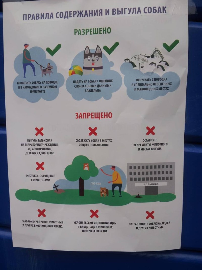 Место для выгула собак