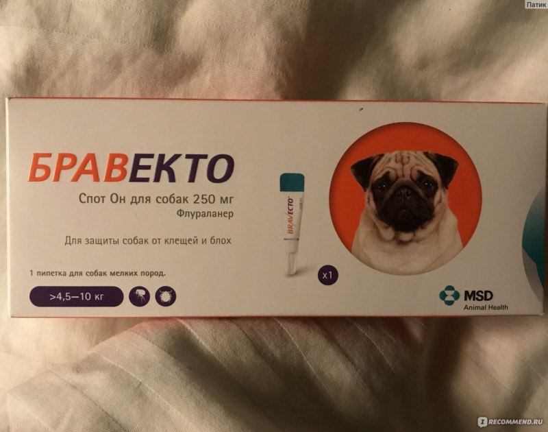 Бравекто для кошек от глистов